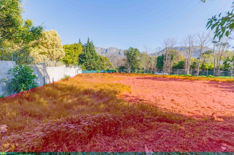 0 Bedroom Property for Sale in Belle Constantia Western Cape
